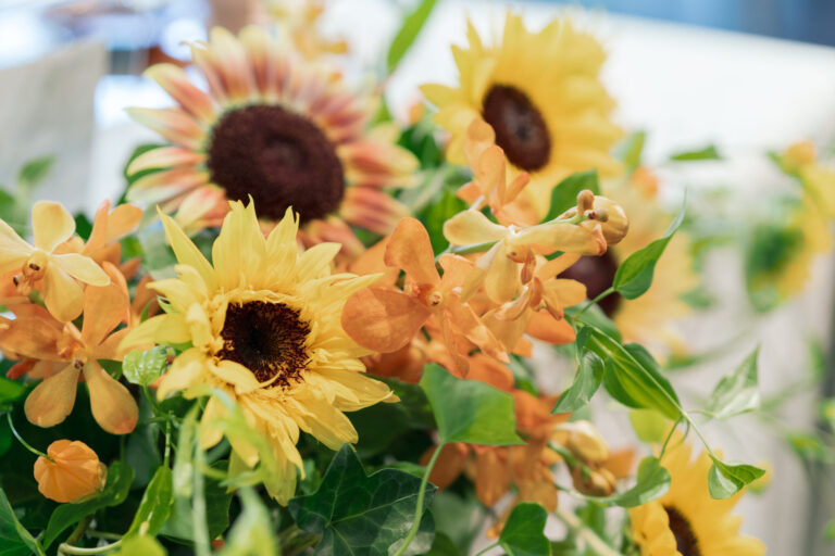【イベント】サマーパーティー開催のお知らせ🌻